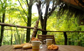 L'Arbre a Cabane