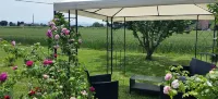 B&B Le Rose Hotel in zona Pinacoteca Civica e Diocesana di Spello