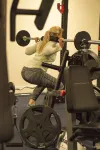 Hotell Jæren - gimnasio