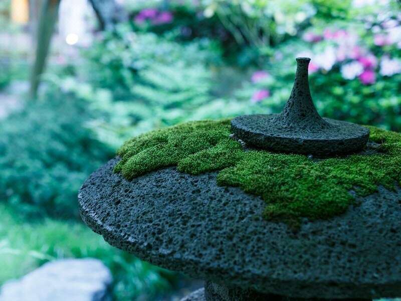 루리코
