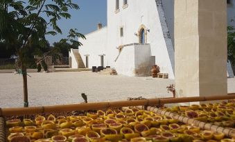 Antica Masseria Torre Mozza