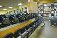 Embassy Suites by Hilton Kansas City International Airport - Gym