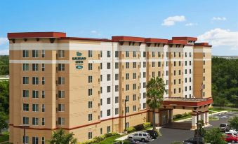 Homewood Suites by Hilton Tampa-Brandon