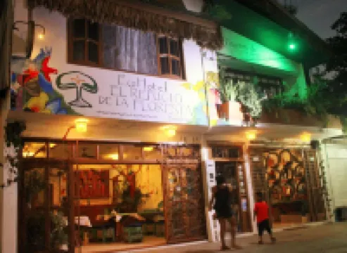 生態酒店埃爾避風港精品酒店 酒店