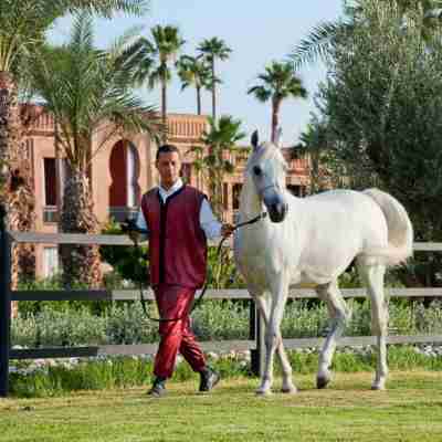 Selman Marrakech Hotel Exterior