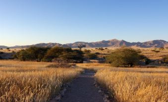 Agama Lodge