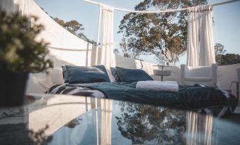 a white and blue bed with pillows is situated on a glass table in a room with trees and a window at Coonawarra Bush Holiday Park