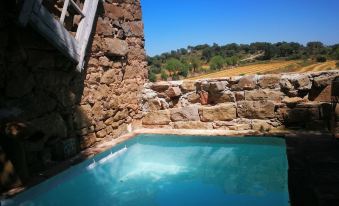 La Casa Dels Ocells - Housity
