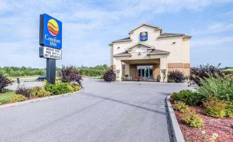 Comfort Inn