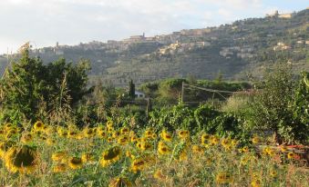 Podere Casorbica