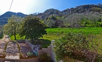 Casa Gina Garden and View by Gardadomusmea