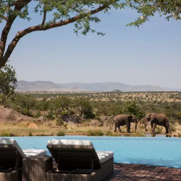Four Seasons Safari Lodge Serengeti