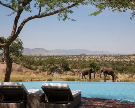 塞倫蓋蒂國家公園四季酒店 塞倫蓋蒂酒店