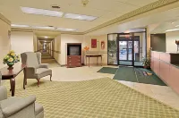 Days Inn by Wyndham Cleveland Lakewood - Wifi