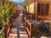 Parcela Los Nonos Hotels in Vicuna