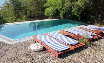 Double Room Natural Conservation Area, Boutique Hotel with Pool