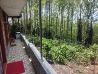 Cholai Resorts & Hotels Hotels near Skandasramam Temple