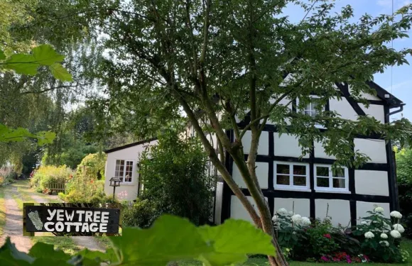 紅豆杉樹小屋民宿