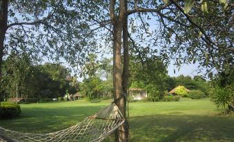 Hakuna Matata Nature Resort