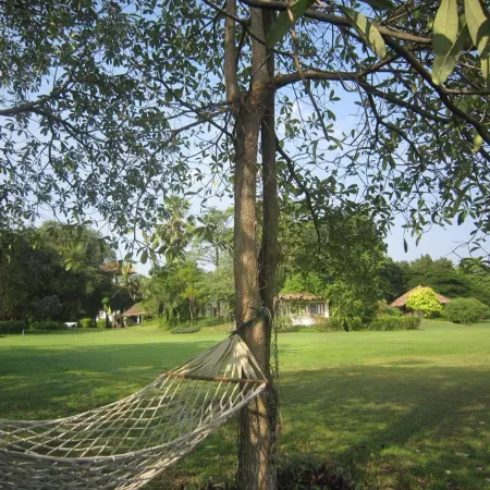Hakuna Matata Nature Resort Отели рядом с достопримечательностью «Ресторан Midwinter Green»