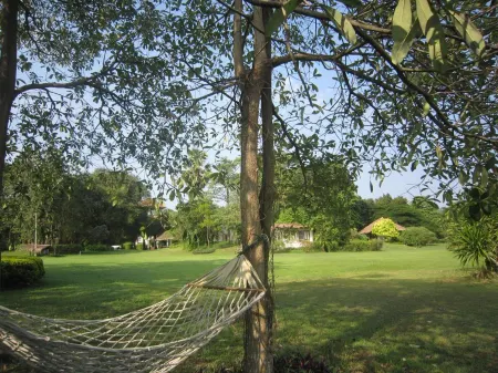 Hakuna Matata Nature Resort Отели рядом с достопримечательностью «Wat Kaeng Klang Dong»