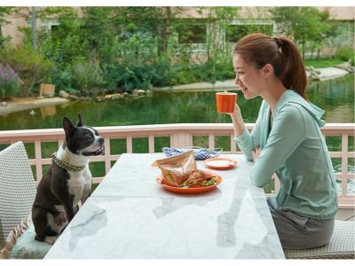 ホテルからの眺望 小谷流の里 ドギーズアイランドの写真