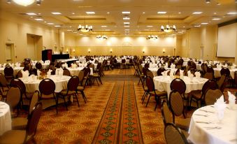 a large , well - lit banquet hall filled with tables and chairs , ready for a formal event at Hilton Garden Inn Albany