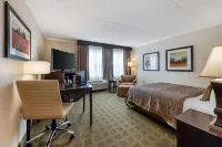 Best Western Plus White Bear Country Inn Hotels in White Bear Lake