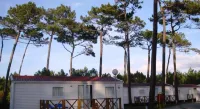 Parque de Campismo Orbitur Sao Pedro de Moel Các khách sạn ở Vieira de Leiria