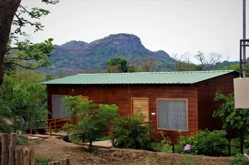 Forest Eco Lodge Hotels in Abu