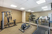 Quality Inn Gainesville - Gym