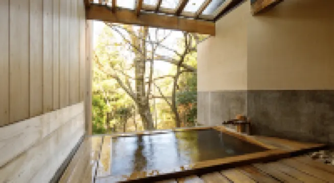 土湯温泉 辰巳屋山莊 裏之湯