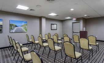 Comfort Inn & Suites Watertown - 1000 Islands