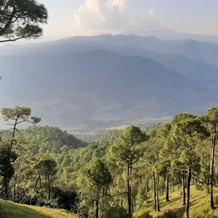Kasar Hill Top