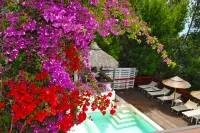 Villa Giulia Resort with Private Pool and Stunning Sea Views - Villas