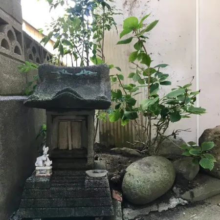 Oasis Wadaura