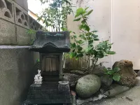 Oasis Wadaura