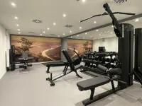 Holiday Inn DRESDEN - AM ZWINGER by IHG - Gym