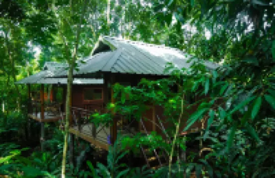 Monsoon Retreats by Daan