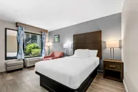 슈어스테이 플러스 호텔 바이 베스트 웨스턴 서던 파인스 파인허스트