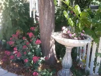 Serenity Yoga Wellness Center Private Room for Two Hotels near Kiler Ridge Olive Farm
