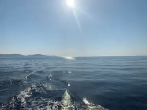 Appartement Proche de la Plage