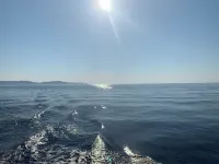 Appartement Proche de la Plage