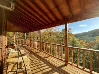 Tree House Treasure ~ Rare Find ~