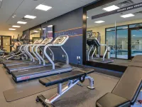 Hampton Inn Brighton Hotels in Brighton