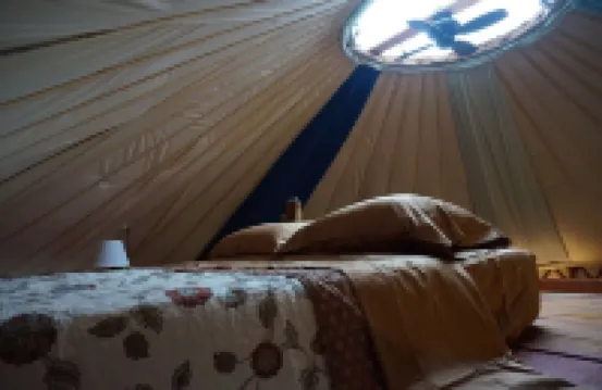 Secluded, Clean Yurt, Retreat on a Forest Farm