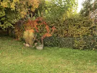 Modern & top equipped apartment with private garden