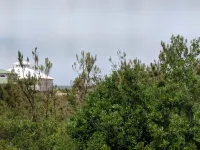 2 Bedroom, second row beach cottage .