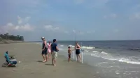 Jekyll Beach - Terrapin Haven - Beach