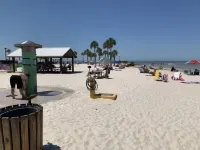 The Little Sweet Home